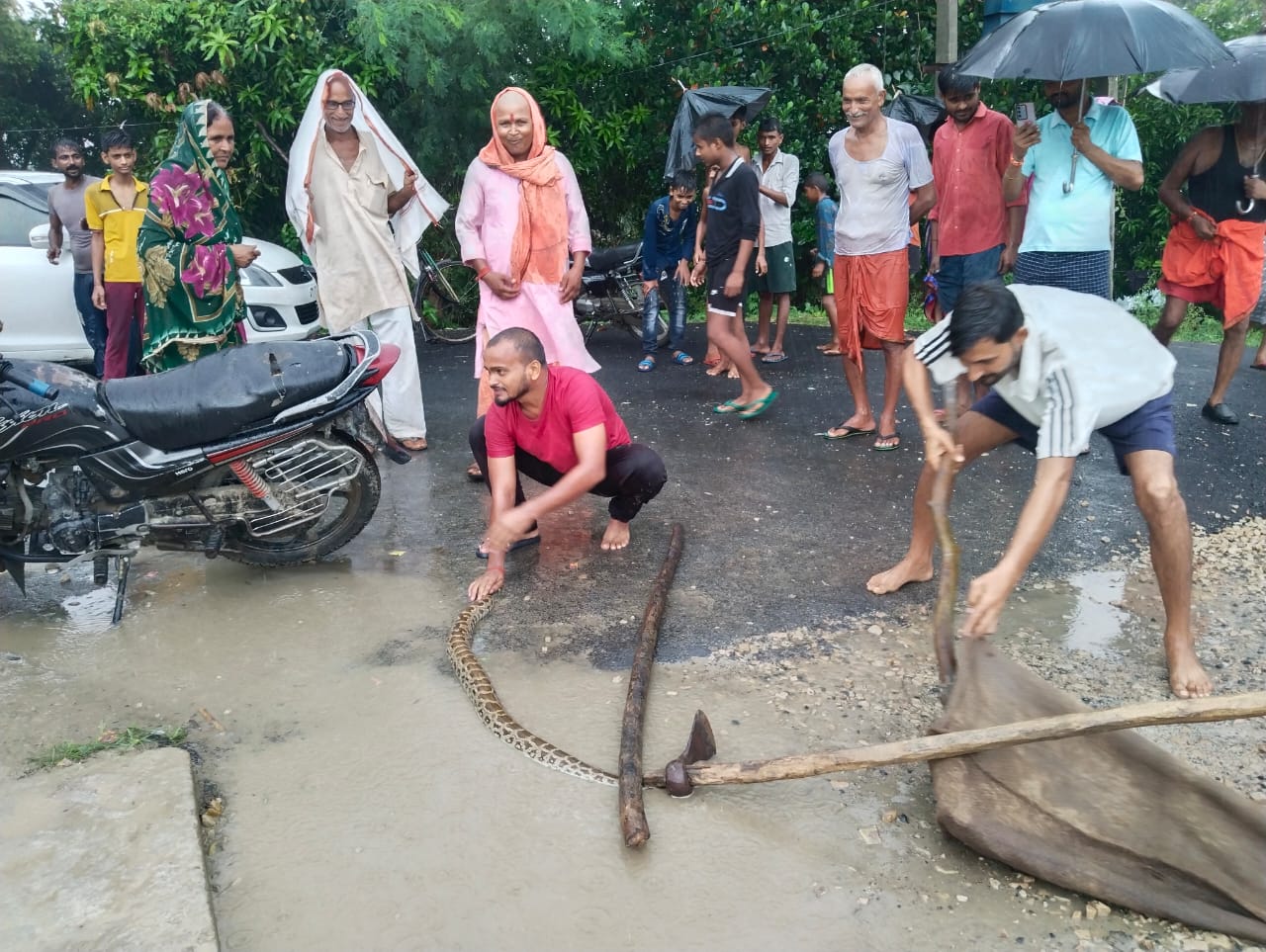 गोंडा : नहर के किनारे अजगर मिलने से मचा हड़कंप , ग्रामीणों ने पकड़कर किया वन विभाग के हवाले
