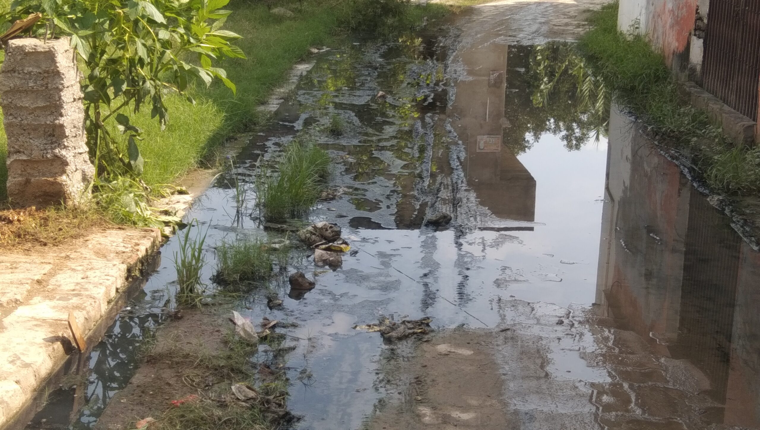 गोंडा : वार्ड नंबर 6 में समुचित जल निकासी , इंटरलॉकिंग और नाली का निर्माण न होने से राहगीर परेशान , सड़कों पर भरा रहता पानी