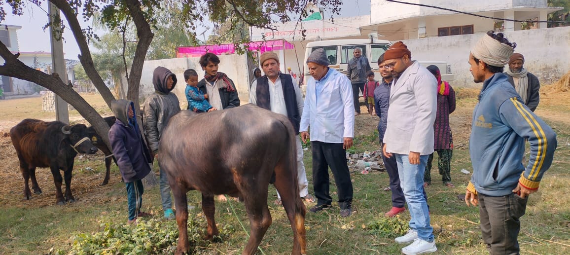 गोंडा : पशु चिकित्सा अधिकारी ने लगाया स्वास्थ्य शिविर