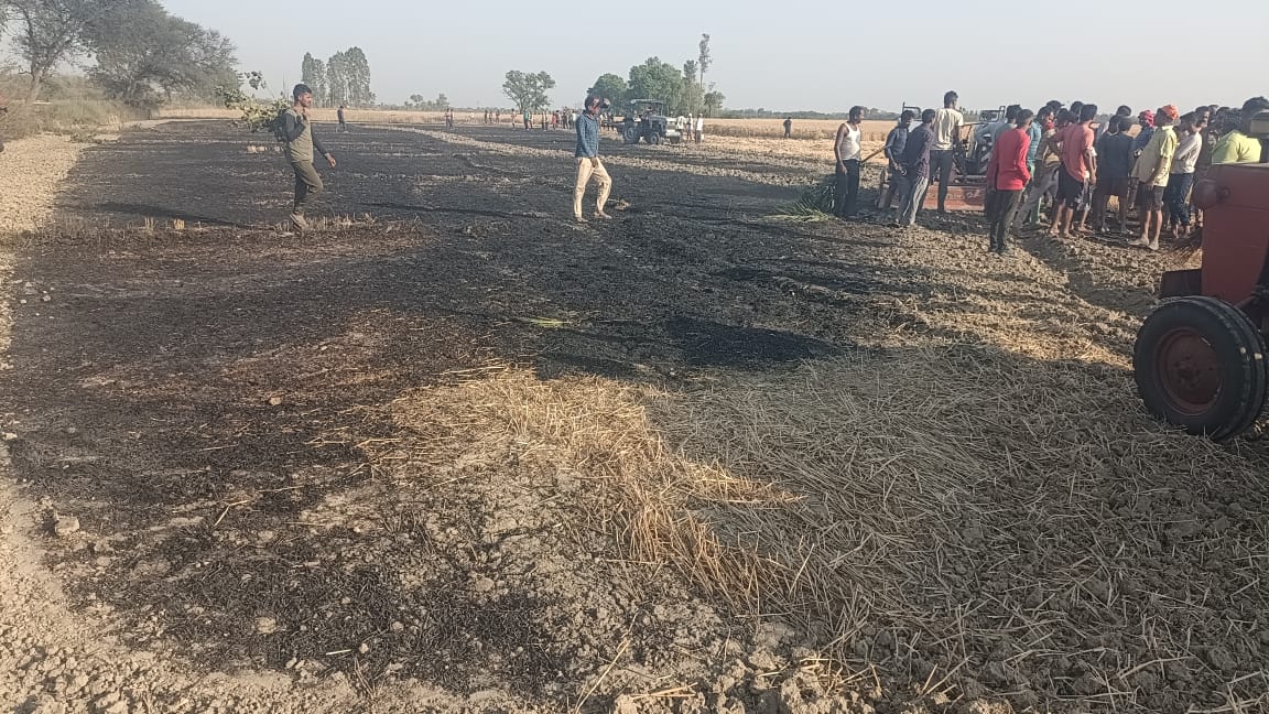 गोंडा : जबदा में अज्ञात कारणों से आग लगने से चार बीघा गेहूं जलकर हुई राख , हल्का लेखपाल मौके पर पहुंचकर गेहूं के फसल की क्षति का किया आंकलन