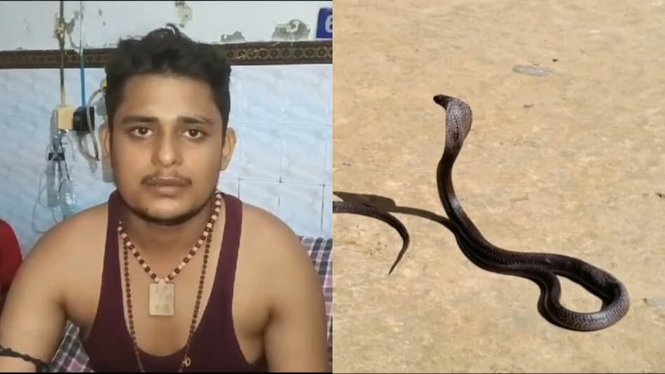 युवक के पीछे ही पड़ गया सांप,एक महीने में 5 बार डसा,डर से मौसी के घर भागा तो वहां भी हुआ ये हाल