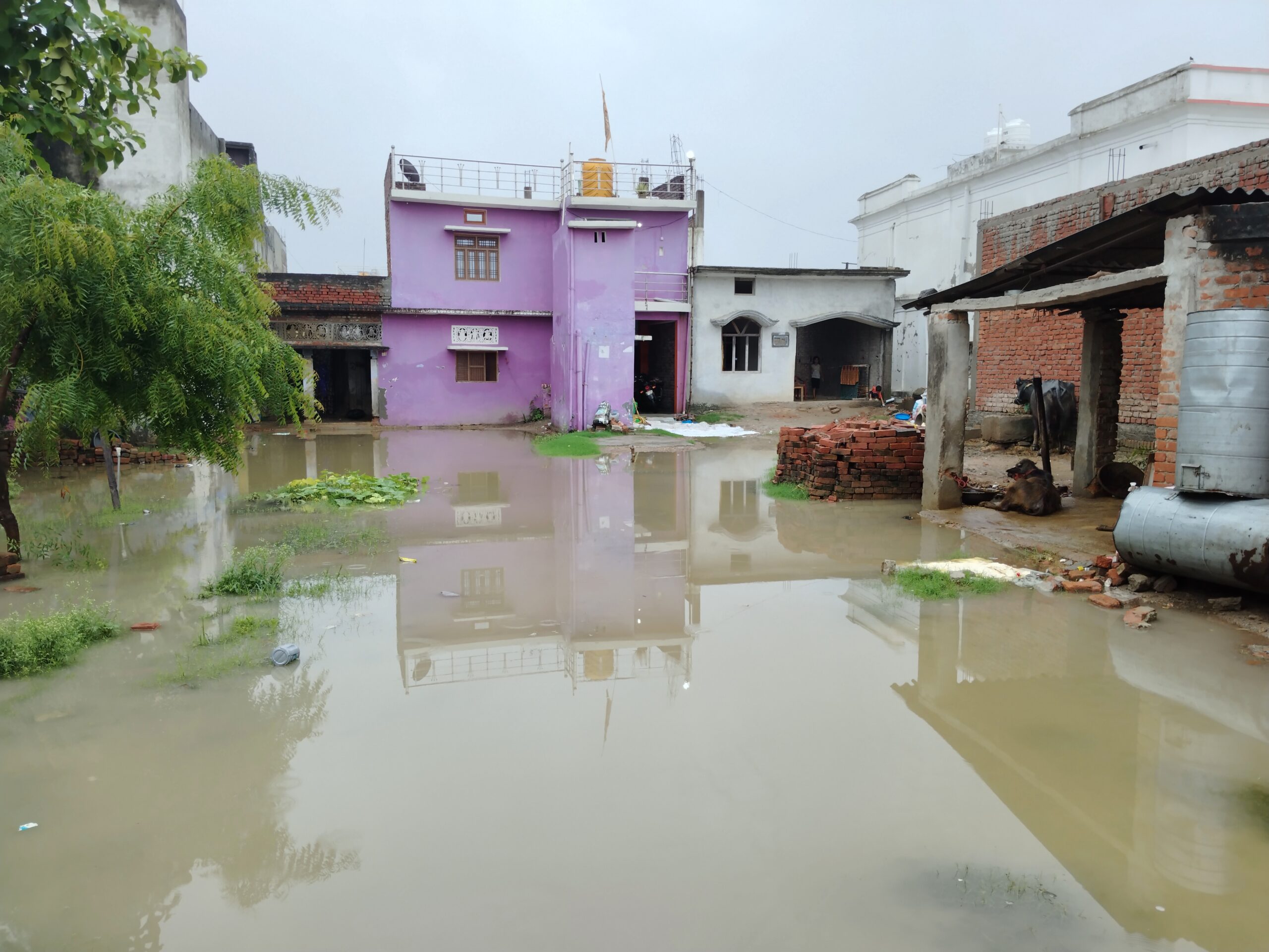 गोंडा : मुरावन टोला में जलभराव: नगर पंचायत की अनदेखी से जनता त्रस्त