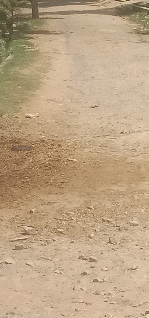 राजधानी लखनऊ के विकासखंड काकोरी में बहरू रोड से सेमरा मऊ गांव से सराय अलीपुर मार्ग गढ़ों में हुआ तब्दील...