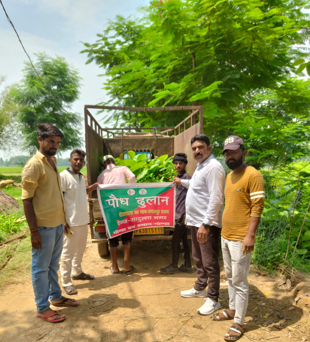 गोंडा : पर्यावरण संरक्षण की दिशा में बढ़ौलीपुर ग्राम प्रधान का सराहनीय प्रयास, कई स्थानों पर कराया पौधारोपण