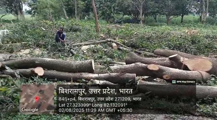गोंडा : कुआंना रेंज में आम के बागानों की बर्बादी, जनप्रतिनिधि पर संरक्षण का आरोप, फॉरेस्ट कर्मियों की चुप्पी से उठे सवाल