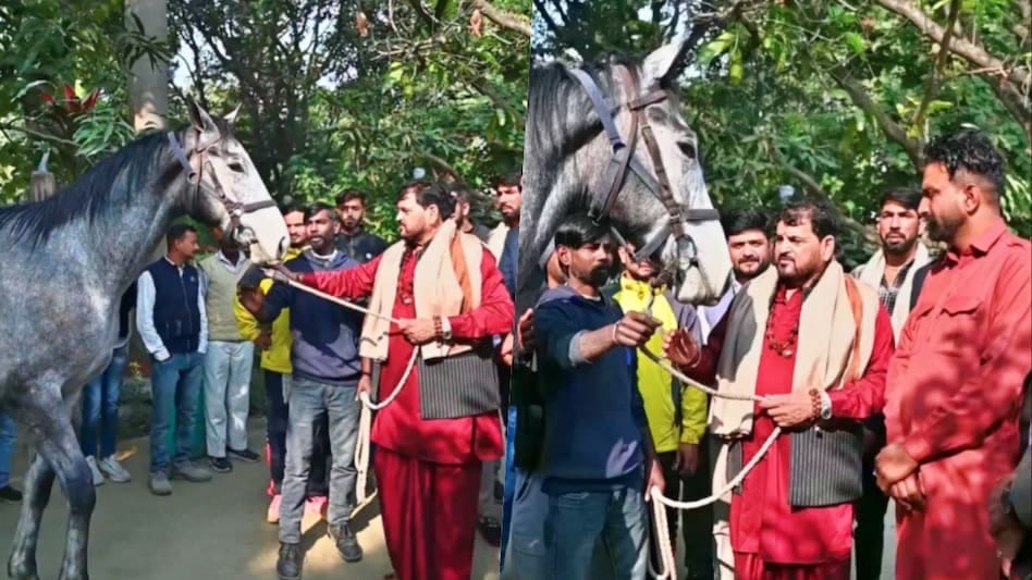 पूर्व भाजपा सांसद बृजभूषण शरण सिंह को गिफ्ट में मिला डेढ़ करोड़ का घोड़ा,कीमत सुनकर खुद भी हो गए हैरान.... 16.12.2025